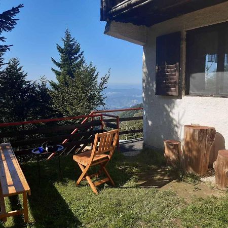 Holiday House Nesovic Kopaonik Kültér fotó