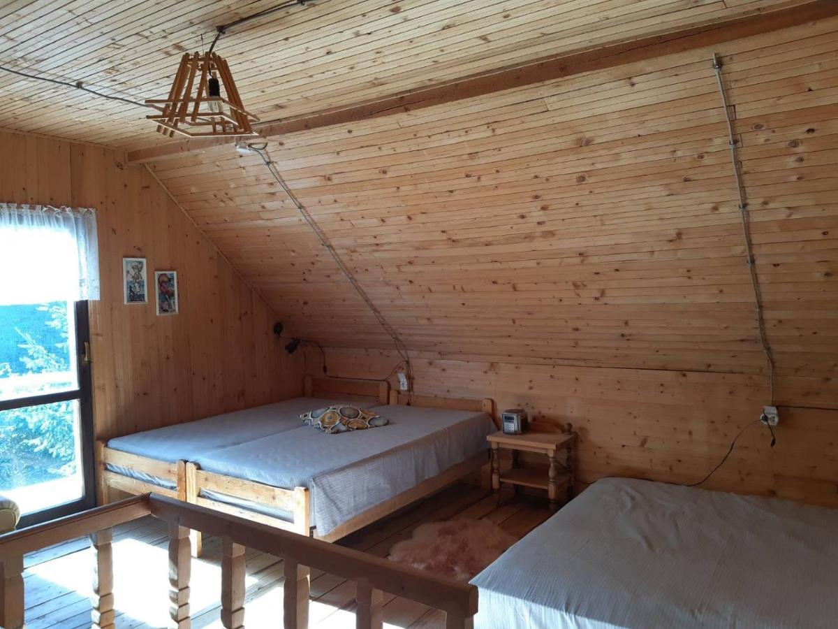 Holiday House Nesovic Kopaonik Kültér fotó