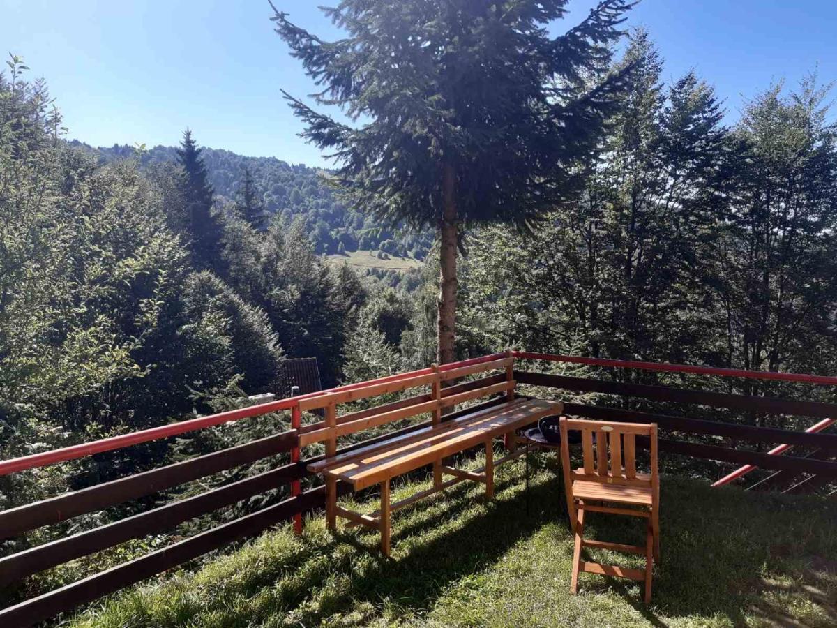 Holiday House Nesovic Kopaonik Kültér fotó