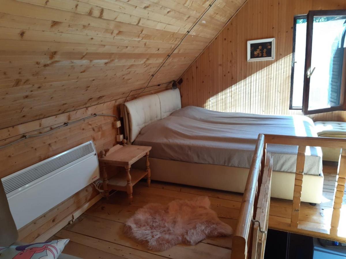 Holiday House Nesovic Kopaonik Kültér fotó
