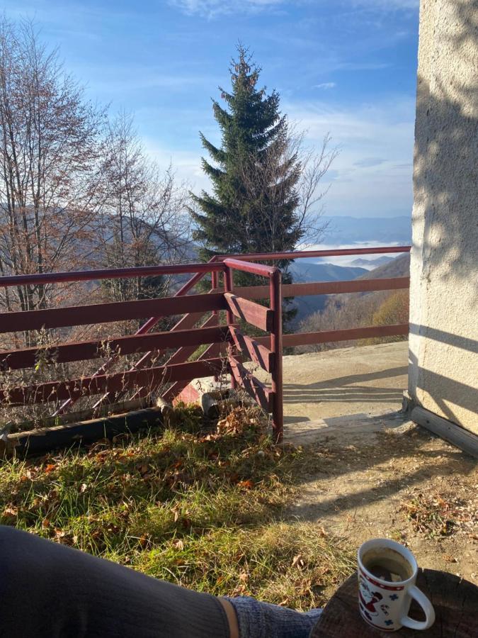 Holiday House Nesovic Kopaonik Kültér fotó