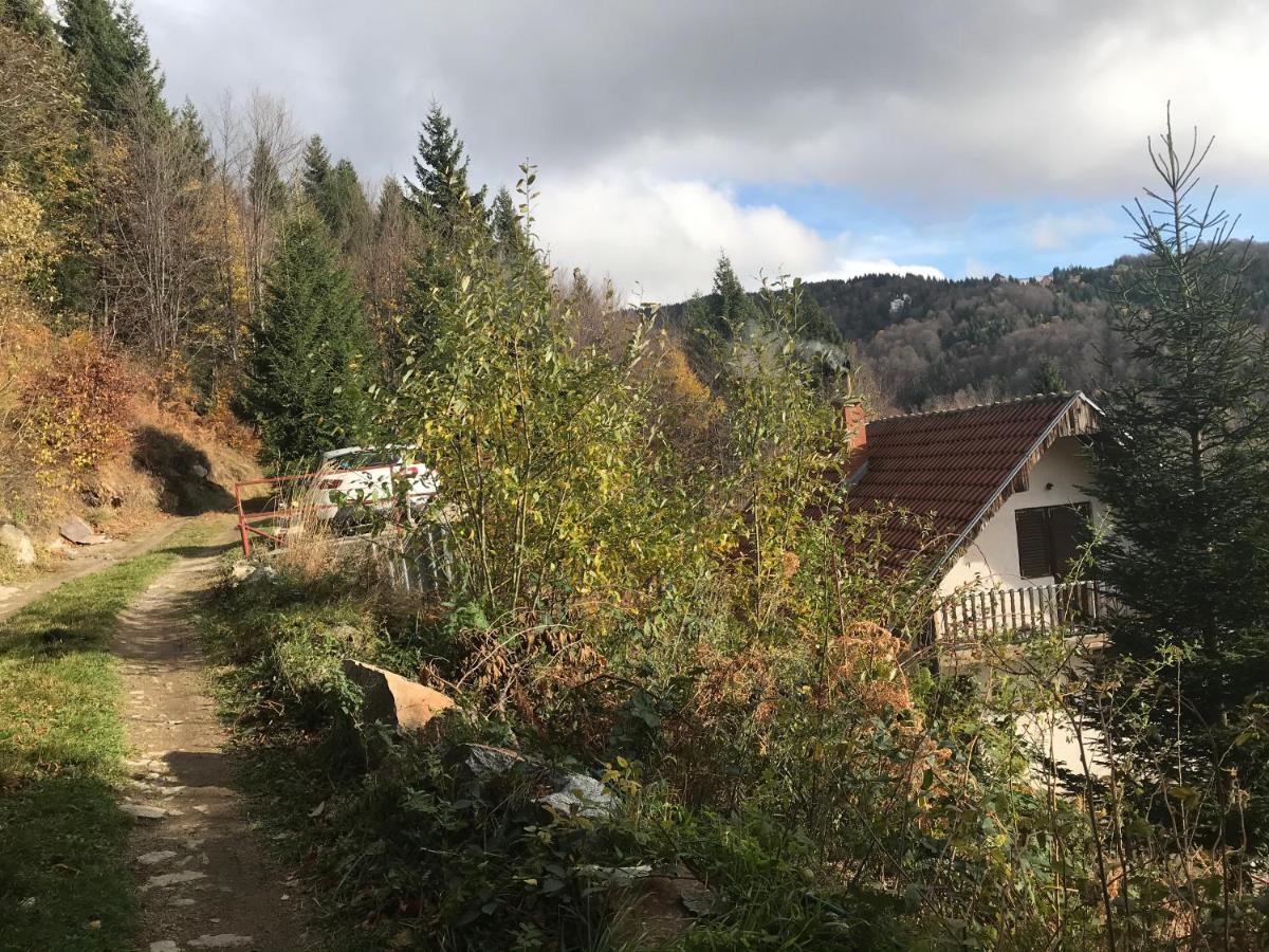 Holiday House Nesovic Kopaonik Kültér fotó