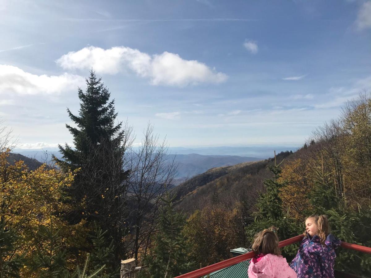 Holiday House Nesovic Kopaonik Kültér fotó