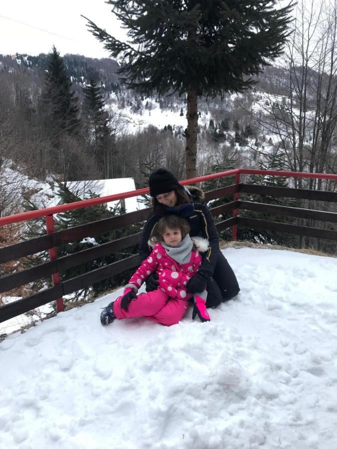 Holiday House Nesovic Kopaonik Kültér fotó