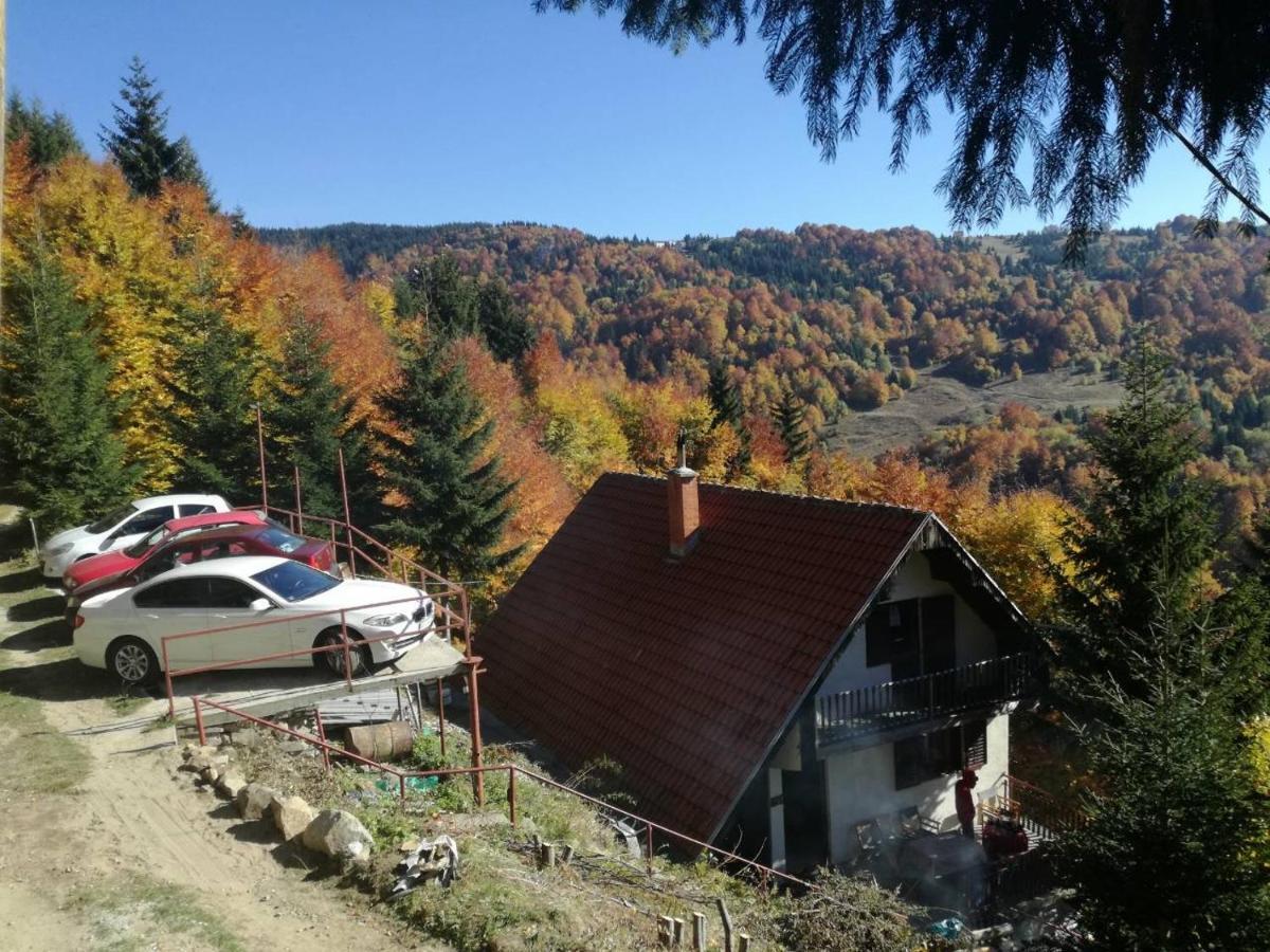 Holiday House Nesovic Kopaonik Kültér fotó