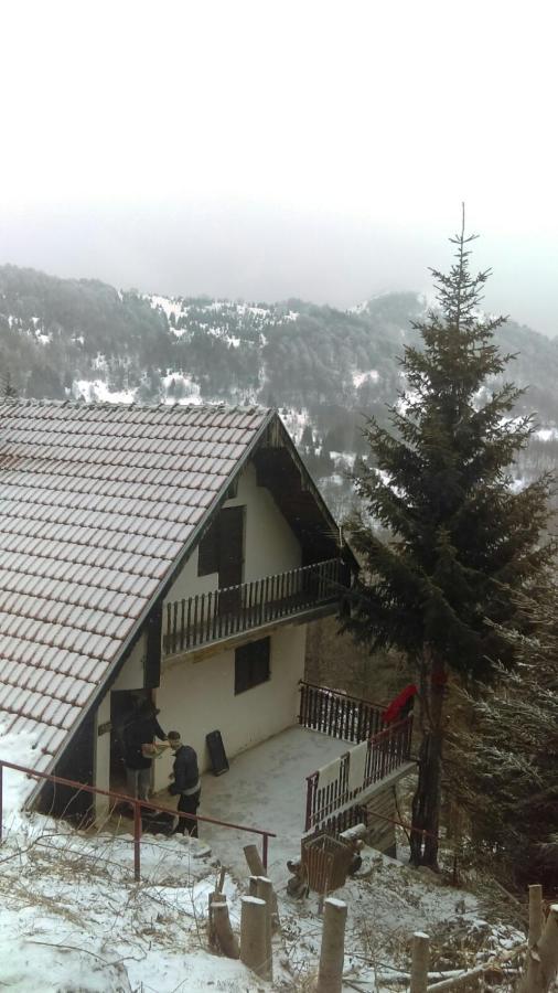 Holiday House Nesovic Kopaonik Kültér fotó