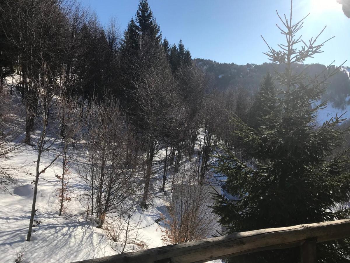 Holiday House Nesovic Kopaonik Kültér fotó