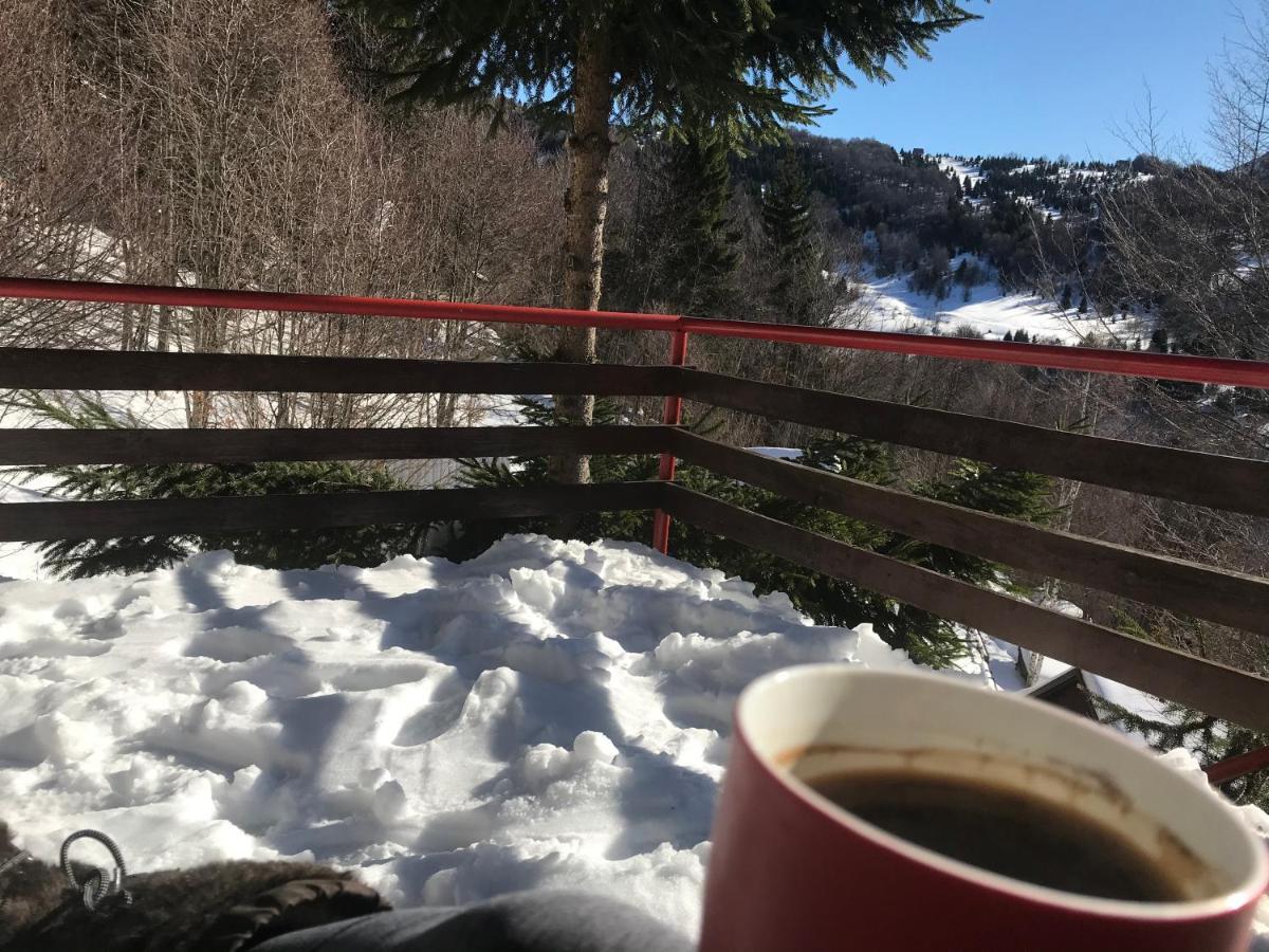 Holiday House Nesovic Kopaonik Kültér fotó