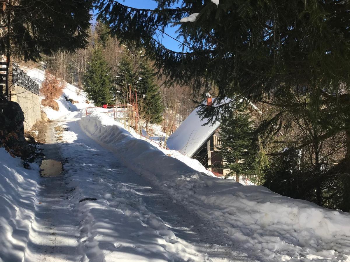 Holiday House Nesovic Kopaonik Kültér fotó