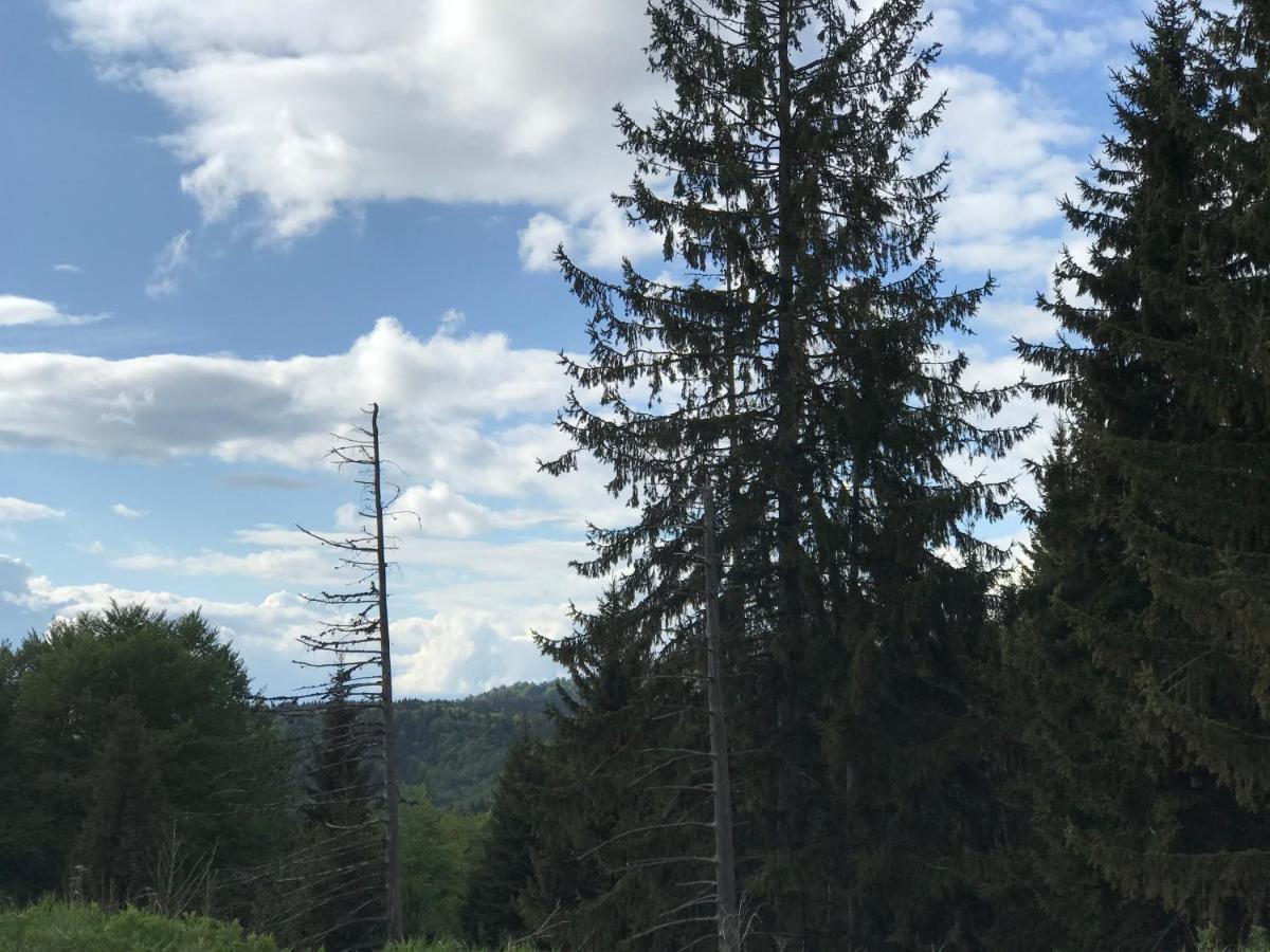 Holiday House Nesovic Kopaonik Kültér fotó