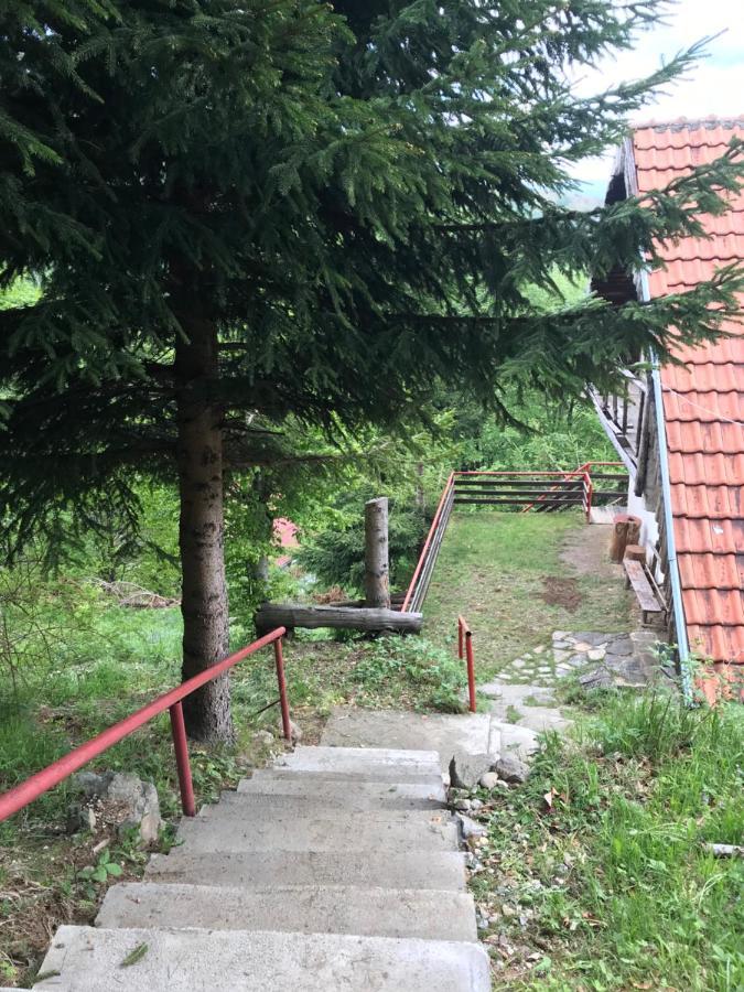 Holiday House Nesovic Kopaonik Kültér fotó