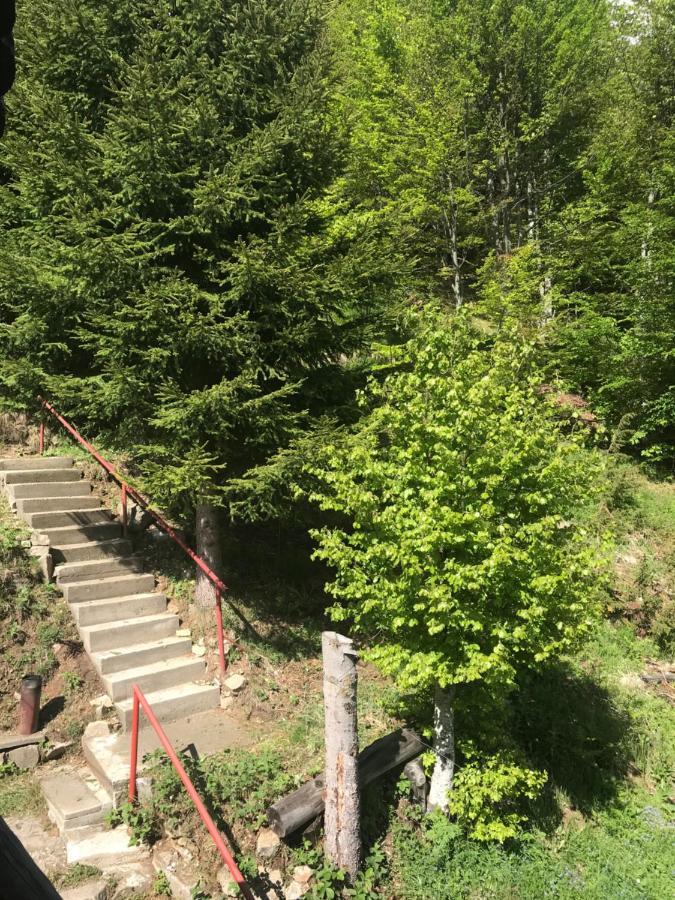 Holiday House Nesovic Kopaonik Kültér fotó