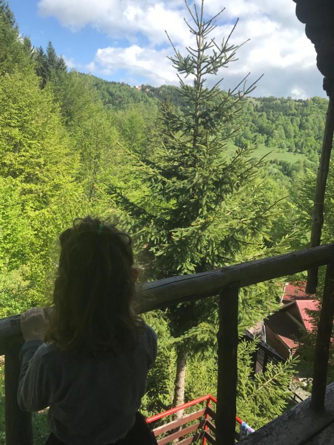 Holiday House Nesovic Kopaonik Kültér fotó